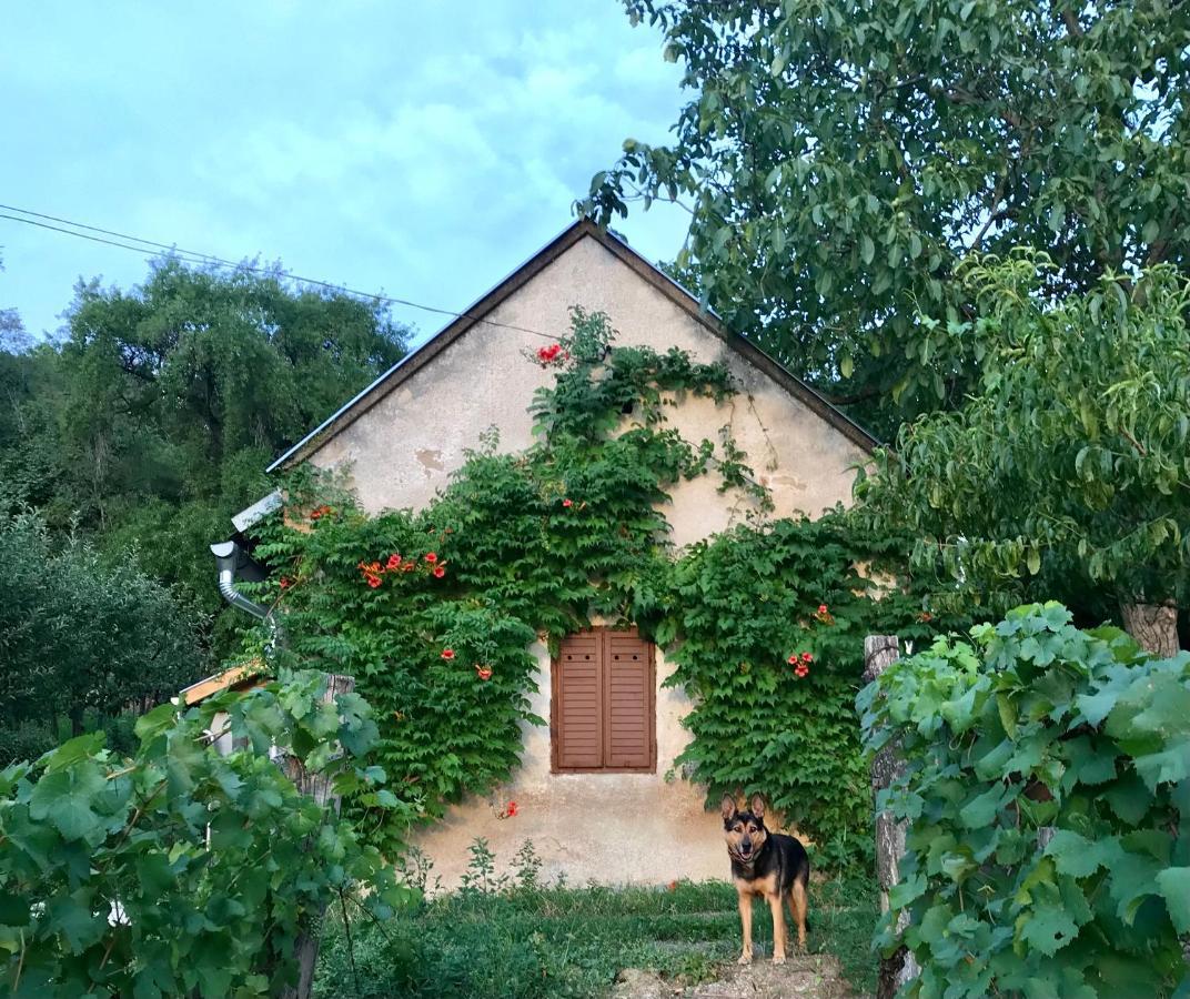 Kofal Pince Villa Raposka Екстериор снимка