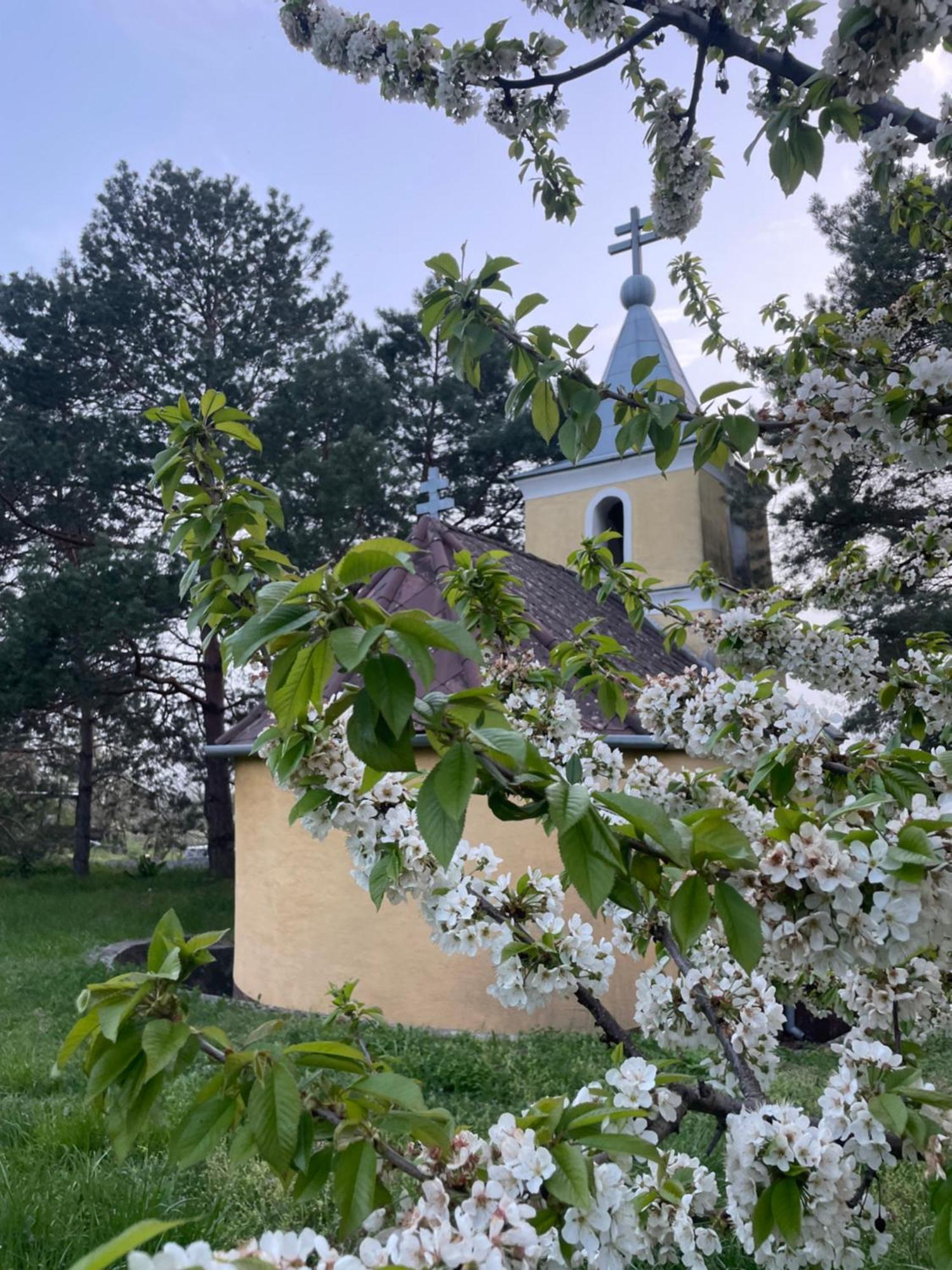 Kofal Pince Villa Raposka Екстериор снимка